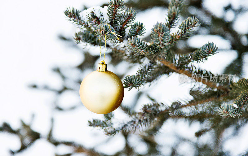 圣诞树上挂着圣诞球