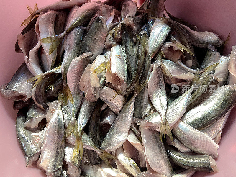 新鲜的鱼、马鲛鱼在塑料容器中清洗，用于烹饪