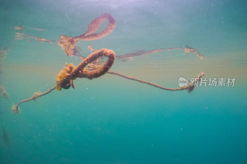 水下旧绳子的特写-库存照片