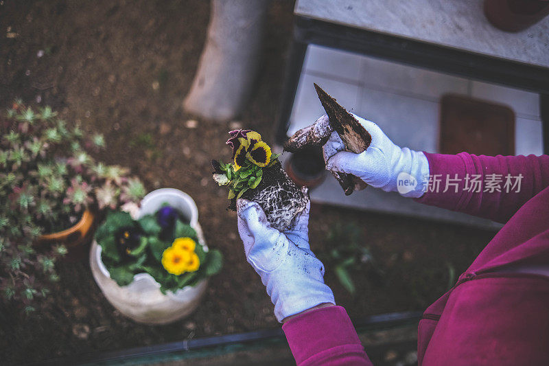 轻轻地把花种在地里