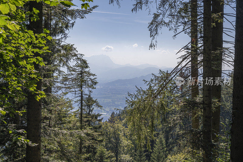 夏季奥地利Vorarlberg阿尔卑斯山的山地景观