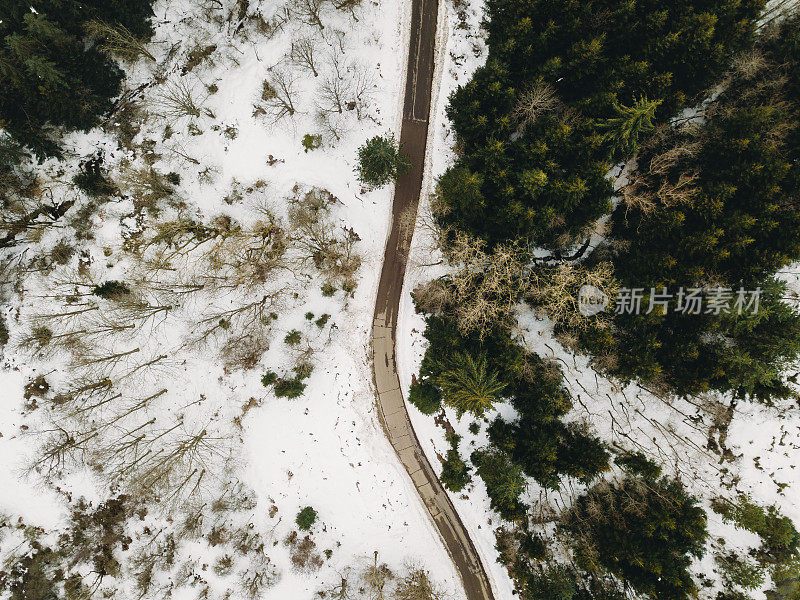 森林中道路的鸟瞰图，两侧有雪