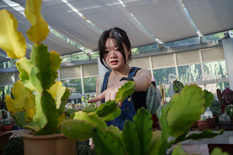 欣赏植物之美的女孩