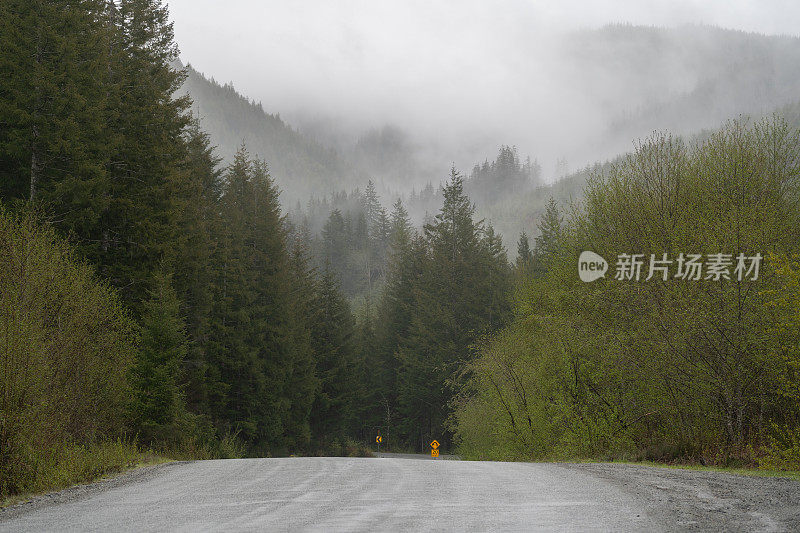 雾山热带雨林温哥华岛