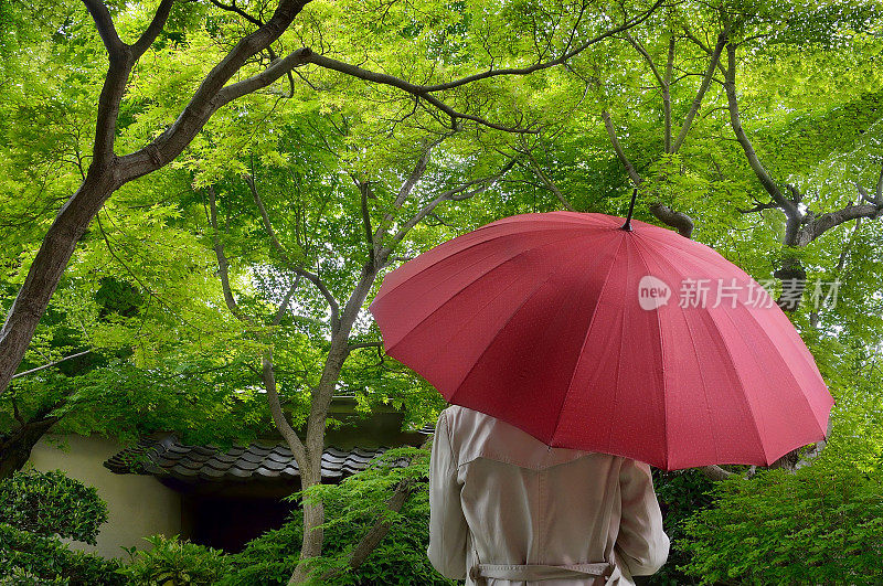 拿着红色雨伞的女人