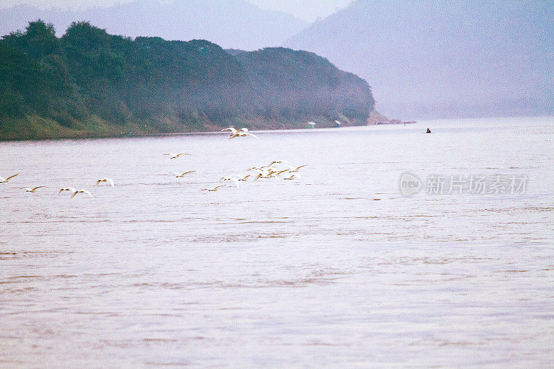 日落在湄公河上与一群泰国鹤鸟
