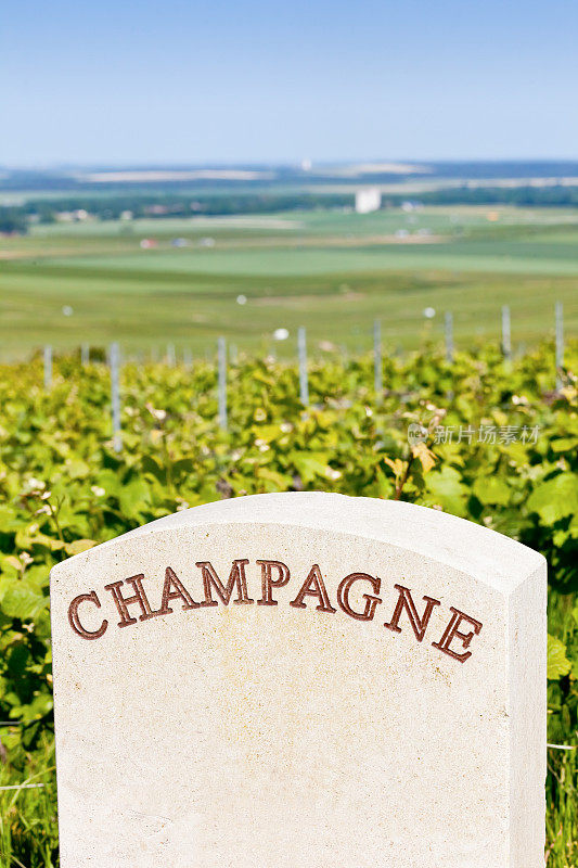 兰斯山地区的石头香槟葡萄园标志和特级葡萄