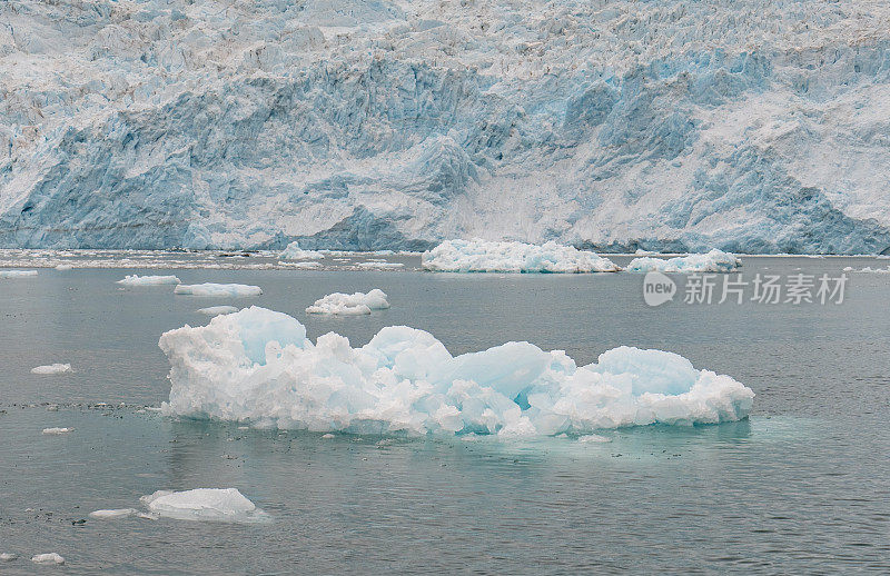 美国阿拉斯加州基奈峡湾国家公园美丽的冰山和艾力克冰川