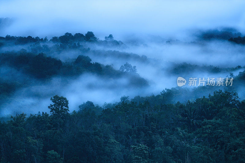 雾蒙蒙的丛林雨林与雾和层层叠叠的山脉从日出之前。鸟瞰图。