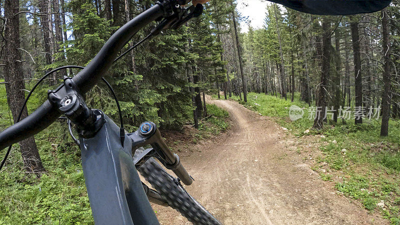 第一人称视角骑自行车在小径上的森林