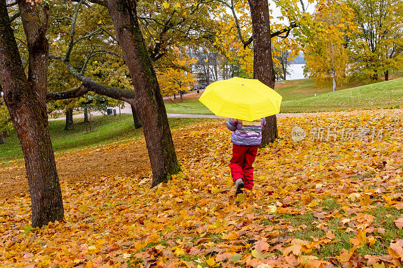孩子，白人女孩，8岁，秋天散步。一个孩子撑着一把明黄色的伞穿过秋天的公园。
