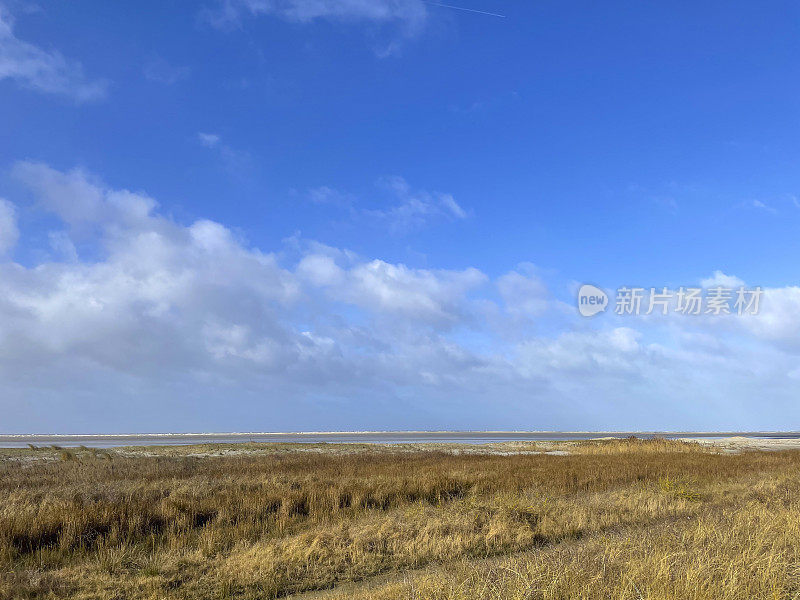 Schiermonnikoog全景在北海海滩的沙丘