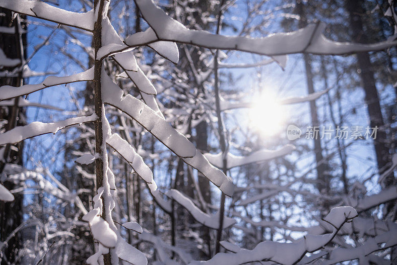 这是在雪地里徒步旅行的好天气