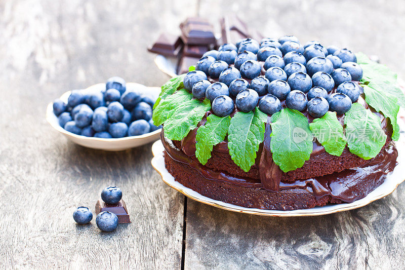 巧克力蛋糕配巧克力奶油和新鲜蓝莓