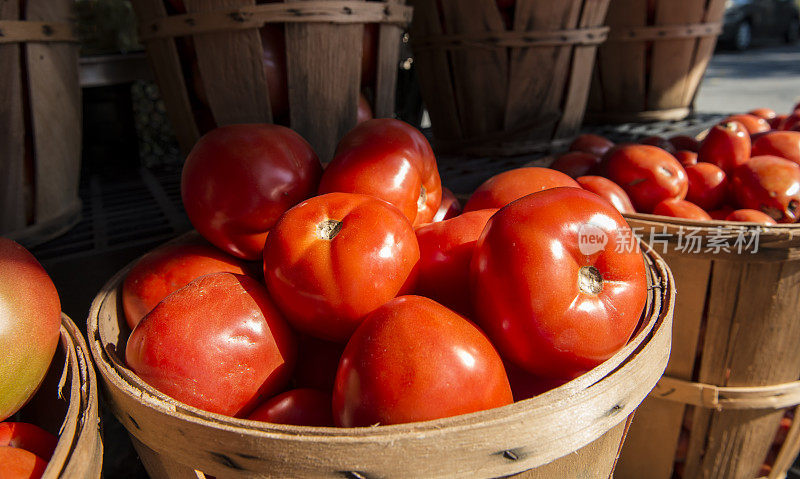 西红柿在板条箱