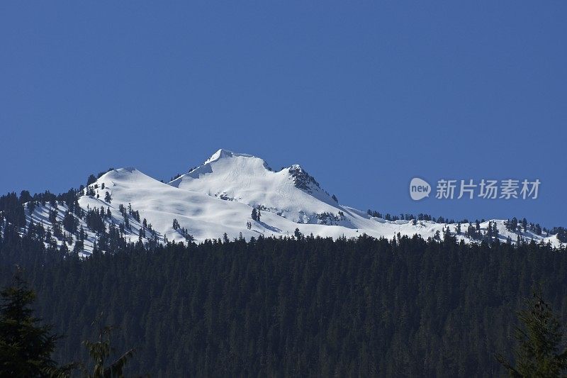 冰川峰荒野蓝冰