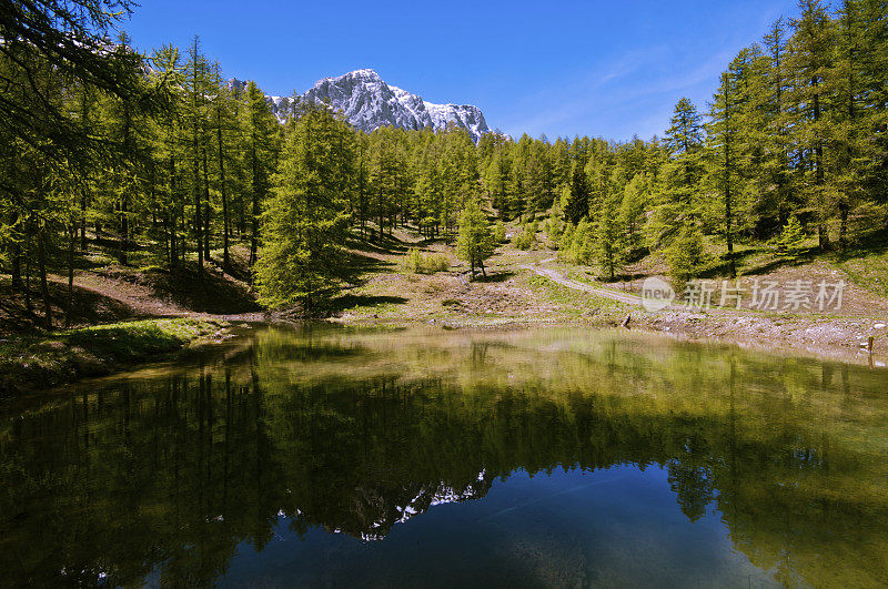 高山景观