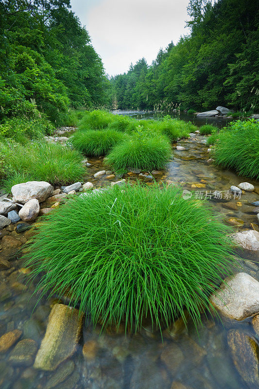 夏天山涧