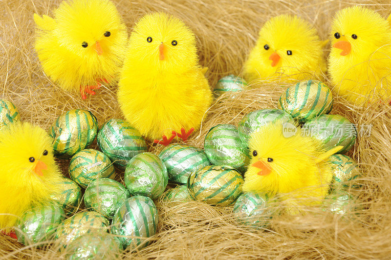 干草里的小鸡和复活节彩蛋