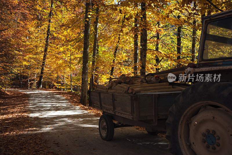 森林和拖拉机。