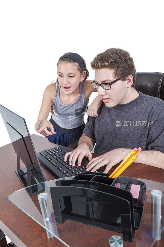弟弟和妹妹在用家用电脑