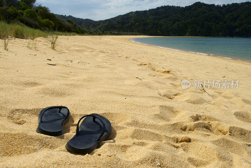 夏季海景，亚伯塔斯曼国家公园，新西兰