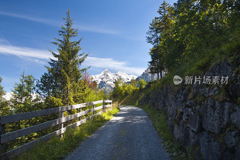 Wetterhorn,瑞士阿尔卑斯山