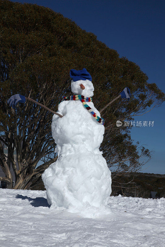 冬天的雪人