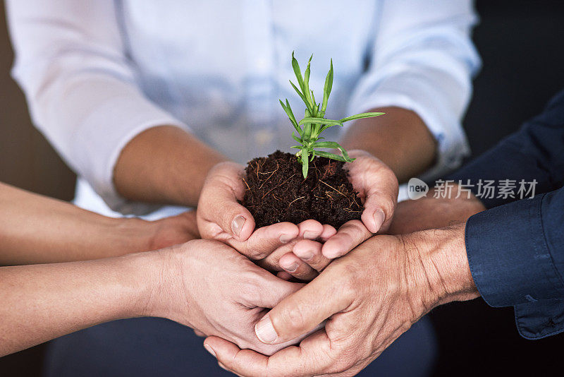 好好照顾你的事业，它就会兴旺发达