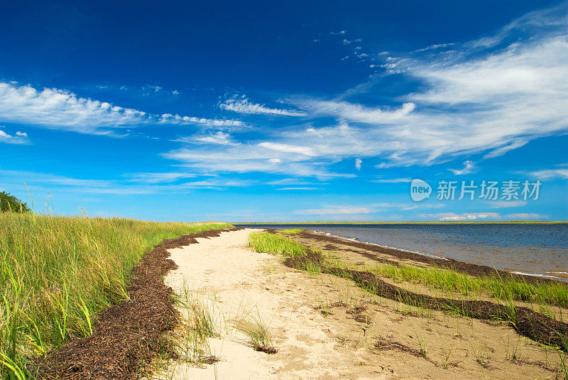 夏天的风景