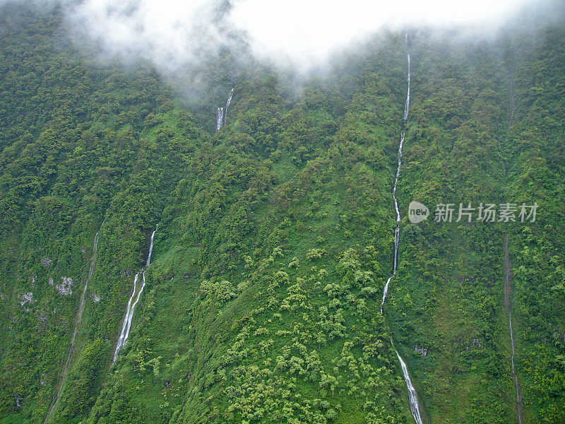 热带雨林