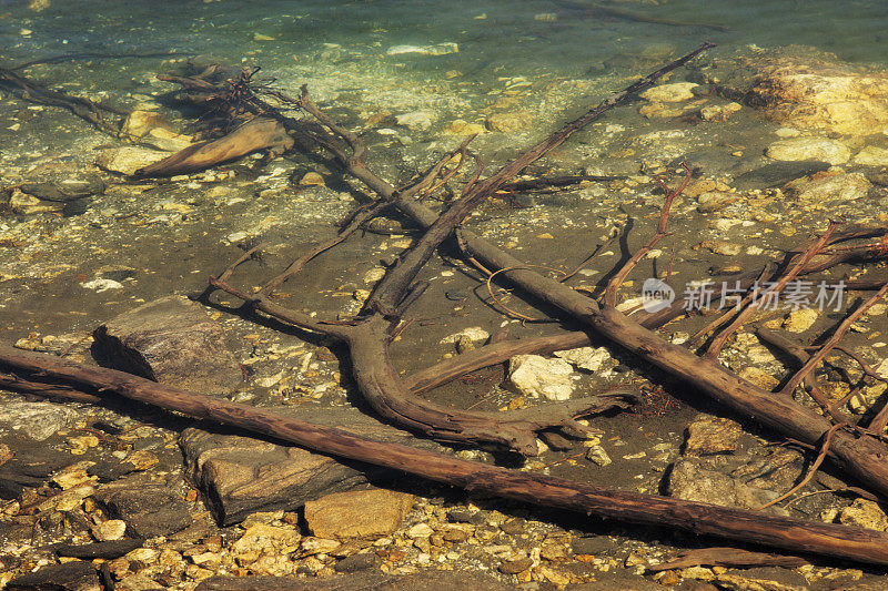 原木岩石岸线湖海滩