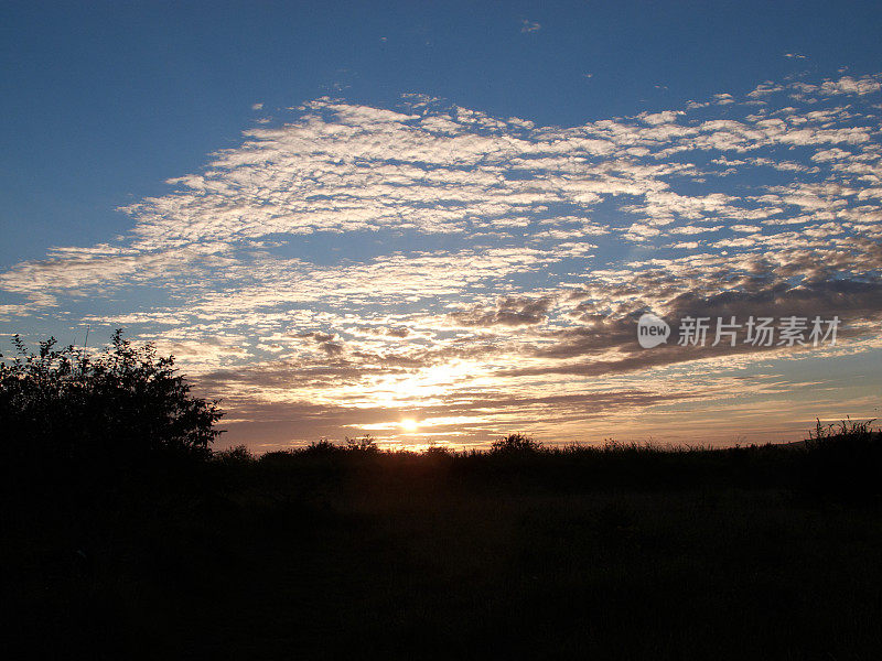 夕阳落在山坡的林木线后面