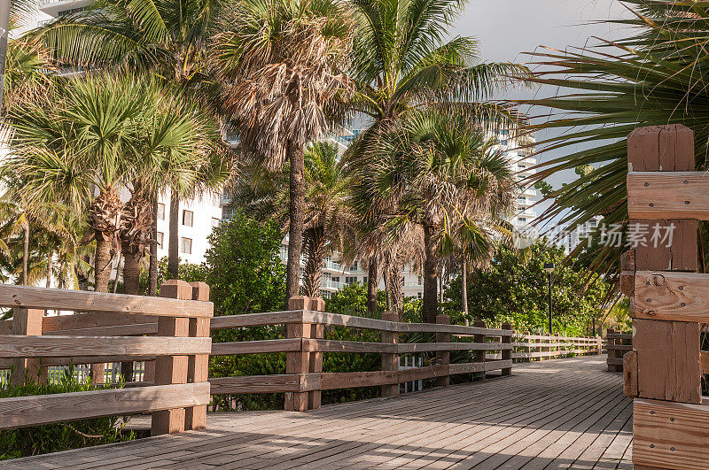 迈阿密海滩木制木板路