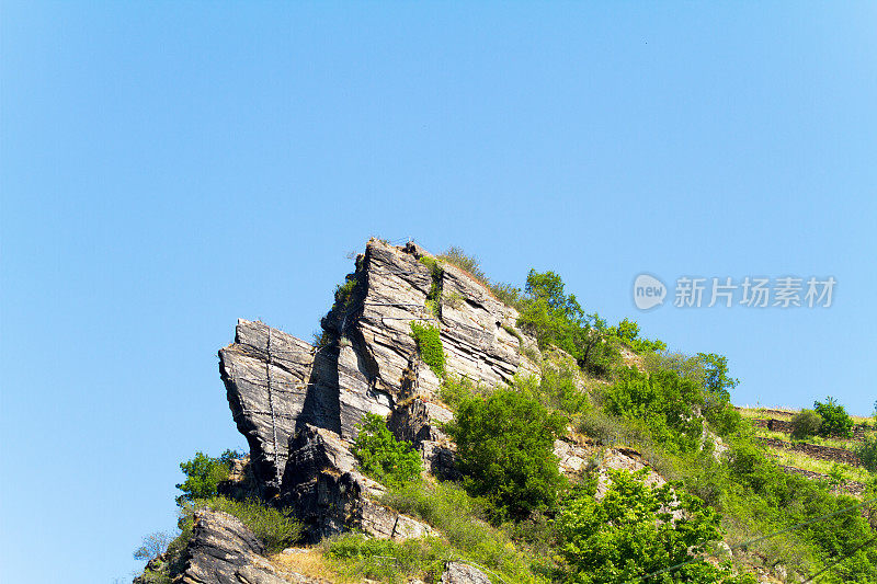 罗蕾蕾在莱茵河的夏日照片