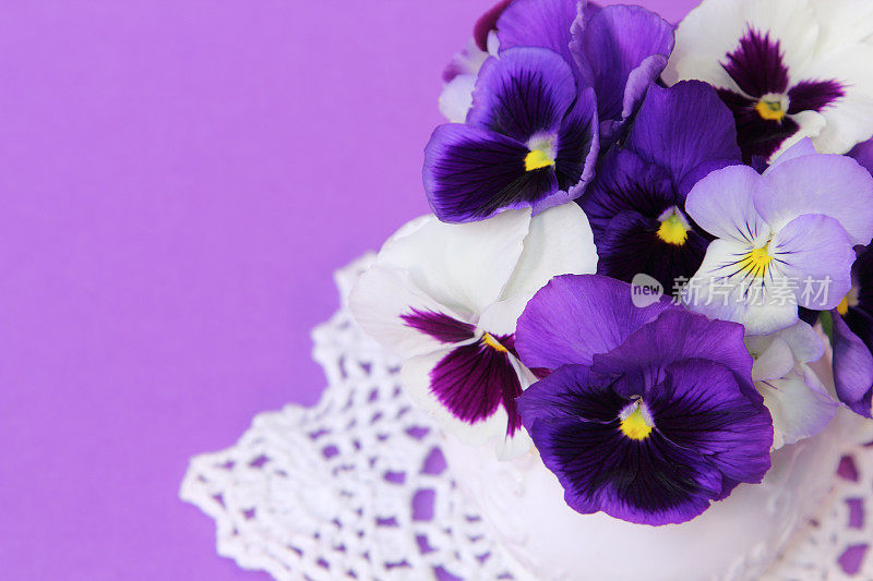 紫色和薰衣草三色堇在白色蕾丝桌布复制空间