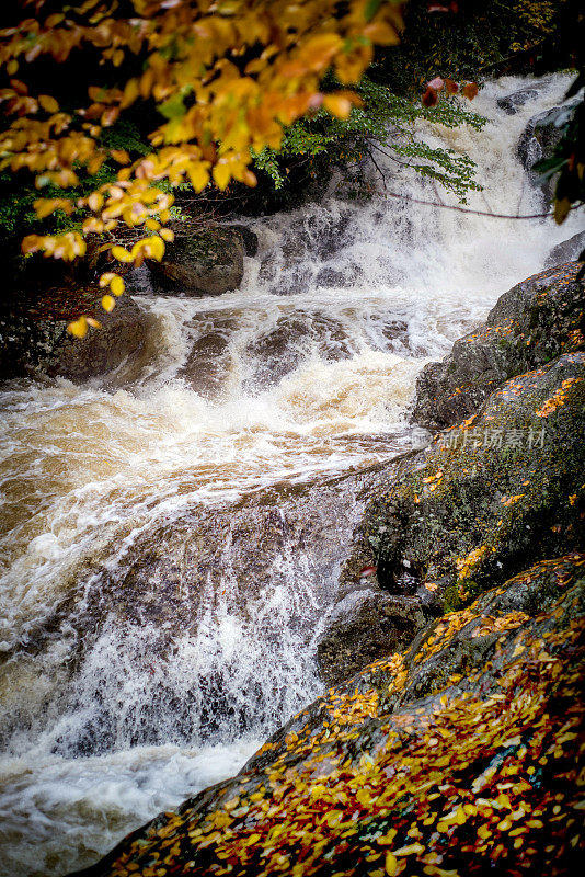 大雨过后，大水奔流