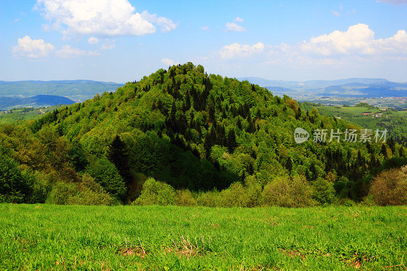 五月的山景。Beskid,波兰。