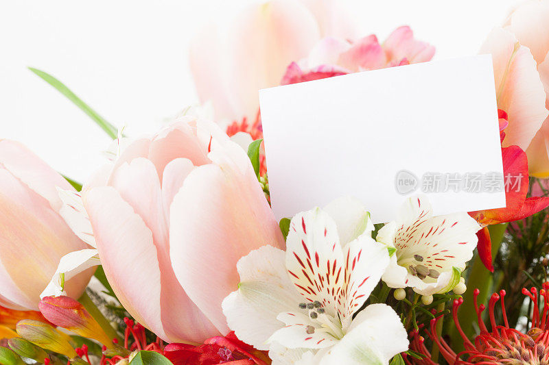 鲜花与空白卡片