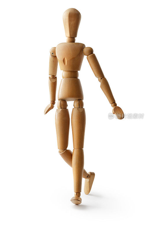 人体模型:行走的人体模型孤立在白色背景