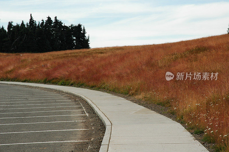 奥林匹克国家公园的空旷停车场