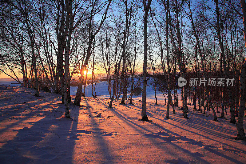 冬天的风景