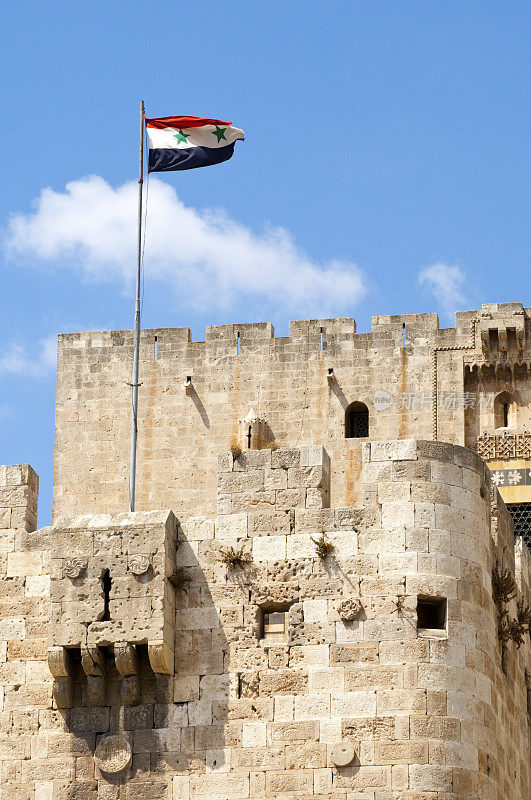 阿勒颇城堡和叙利亚国旗