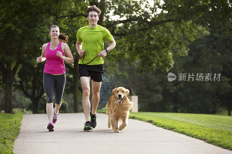 金毛猎犬，男人和女人在人行道上慢跑。