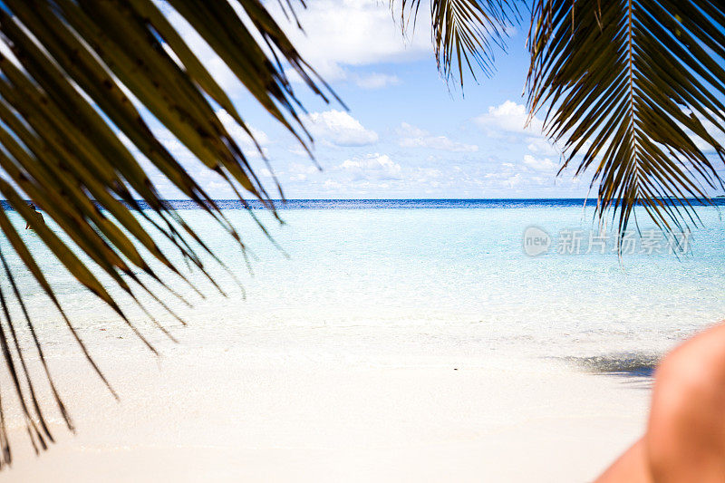 棕榈树和海滩，马尔代夫