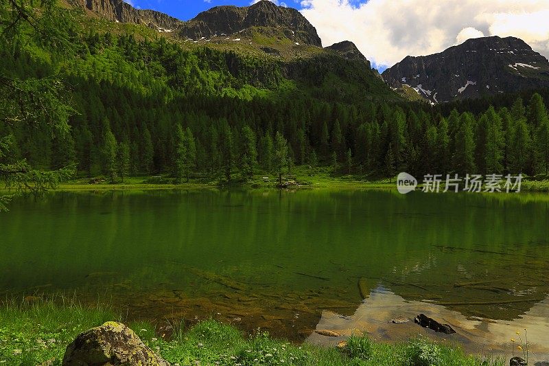 阿尔卑斯山绿松石布拉格湖(拉戈迪布雷斯)，田园诗般的景观附近雄伟的Seekofel阿尔卑斯山谷，戏剧性的意大利南泰洛白云石雪山全景，意大利