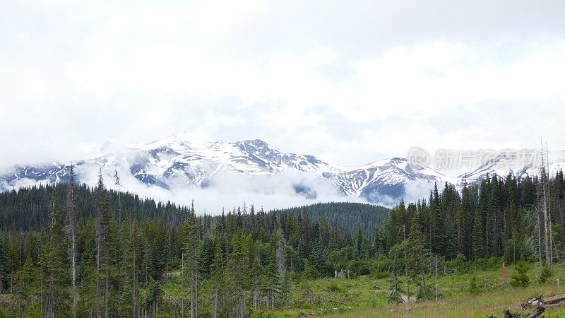 荒野景观