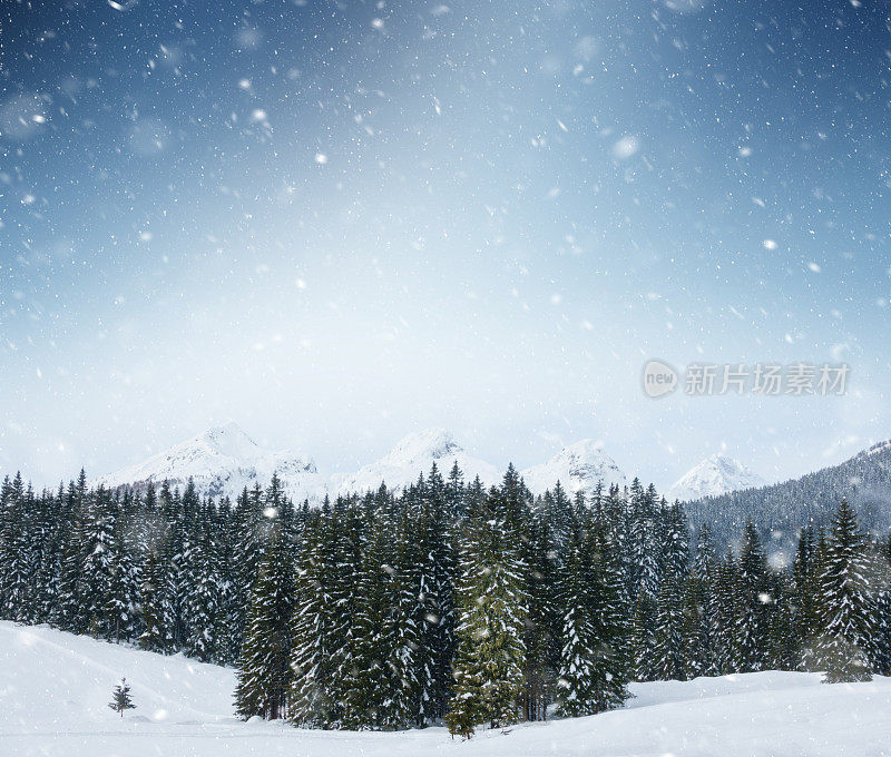 下雪的景色