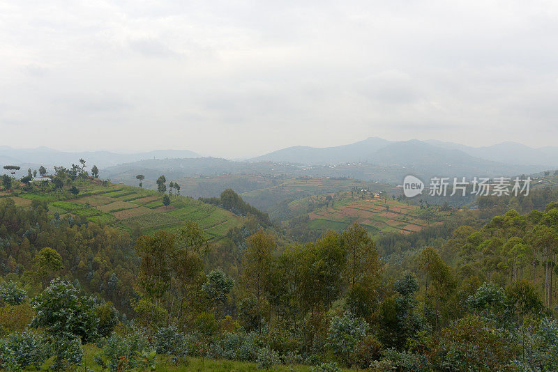 卢旺达基贝霍地区的农村