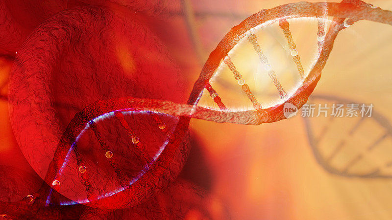 DNA链和红细胞